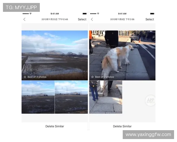 亚星平台app官方免费下载，详细操作步骤和常见问题解答大全