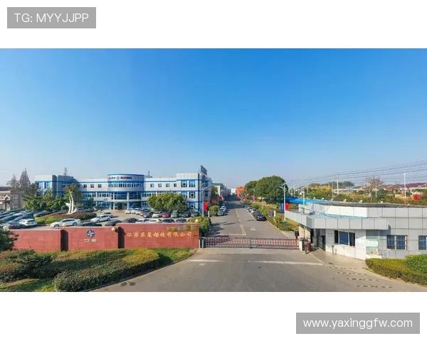 亚星网络平台：持续创新推动互联网技术发展与行业升级的动力源