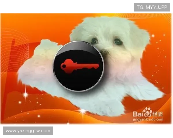 亚星在线登录密码修改流程详解教你轻松更换密码保障账号信息安全的完整步骤 亚星在线登录密码修改流程详解教你轻松更换密码保障账号信息安全的完整步骤