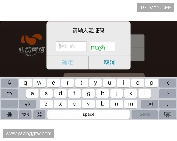 亚星游戏官网登录入口验证码设置与优化提升账号安全的实用技巧