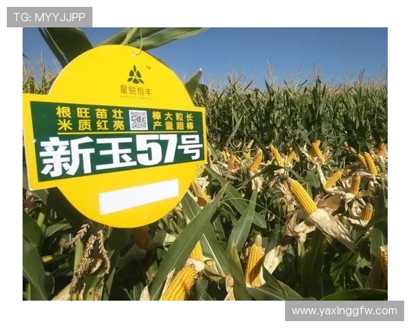 亚星管理平台 so57未来发展趋势预测助力游戏行业把握技术发展方向