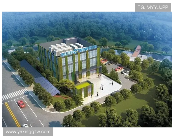 K8凯发在线注册平台注册流程全攻略帮助用户轻松完成账号创建